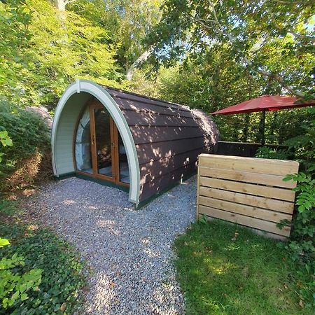 Priory Glamping Pods And Guest Accommodation Killarney Zewnętrze zdjęcie