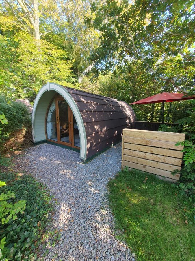 Priory Glamping Pods And Guest Accommodation Killarney Zewnętrze zdjęcie