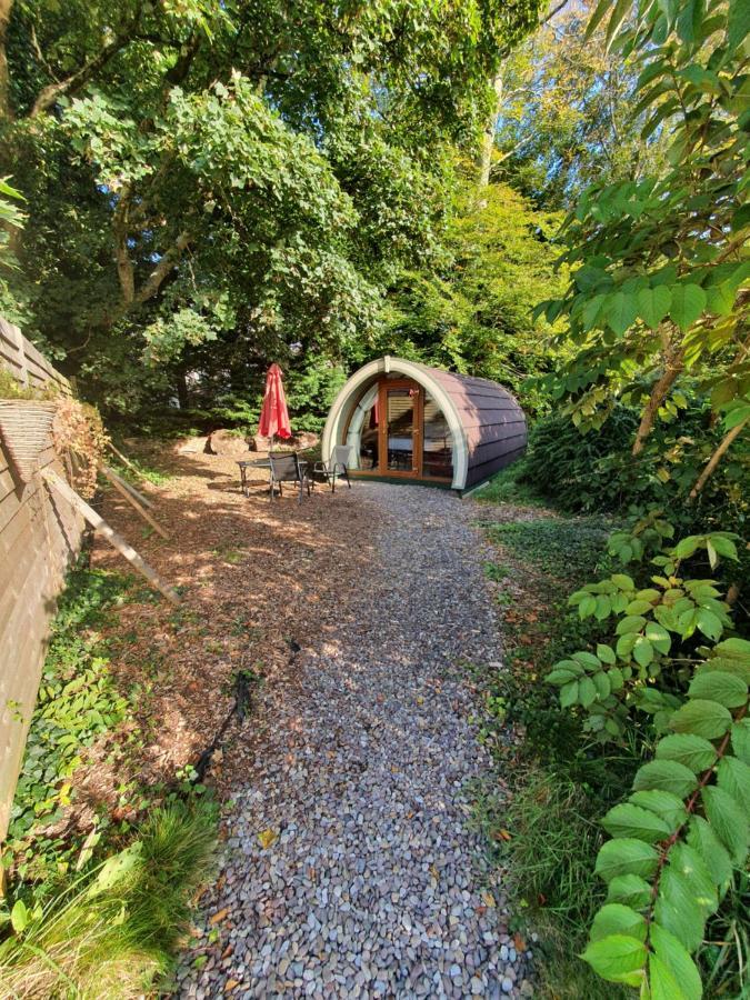 Priory Glamping Pods And Guest Accommodation Killarney Zewnętrze zdjęcie