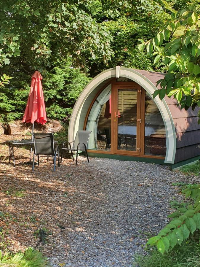 Priory Glamping Pods And Guest Accommodation Killarney Zewnętrze zdjęcie