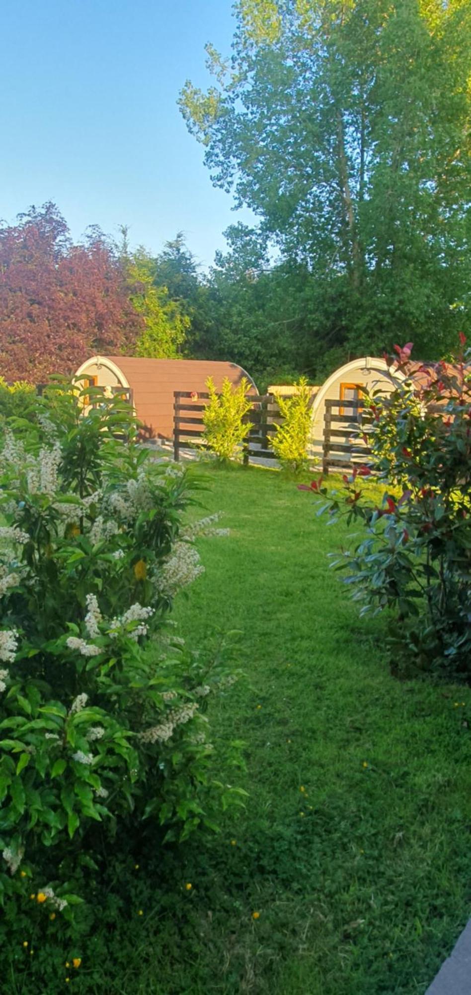 Priory Glamping Pods And Guest Accommodation Killarney Zewnętrze zdjęcie