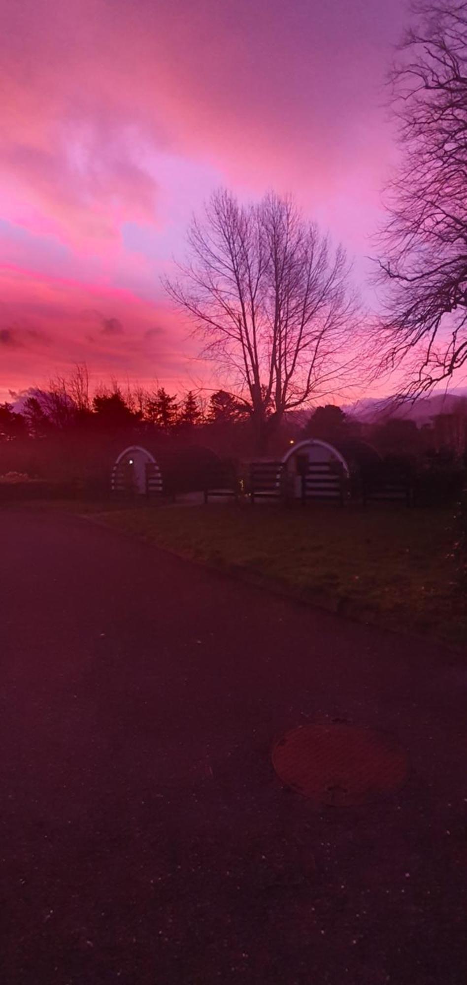 Priory Glamping Pods And Guest Accommodation Killarney Zewnętrze zdjęcie