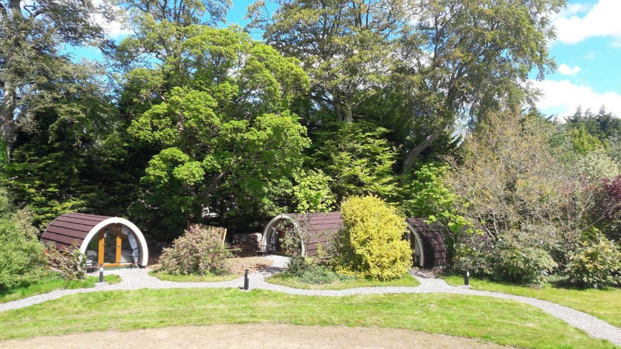 Priory Glamping Pods And Guest Accommodation Killarney Zewnętrze zdjęcie