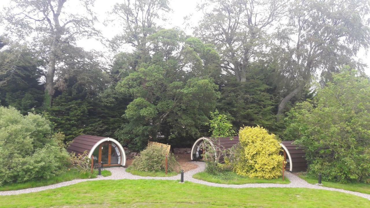 Priory Glamping Pods And Guest Accommodation Killarney Zewnętrze zdjęcie