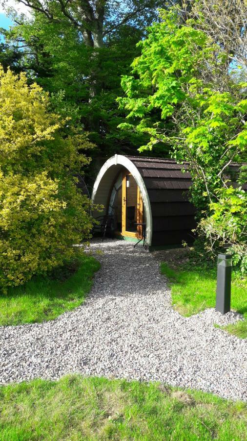 Priory Glamping Pods And Guest Accommodation Killarney Zewnętrze zdjęcie