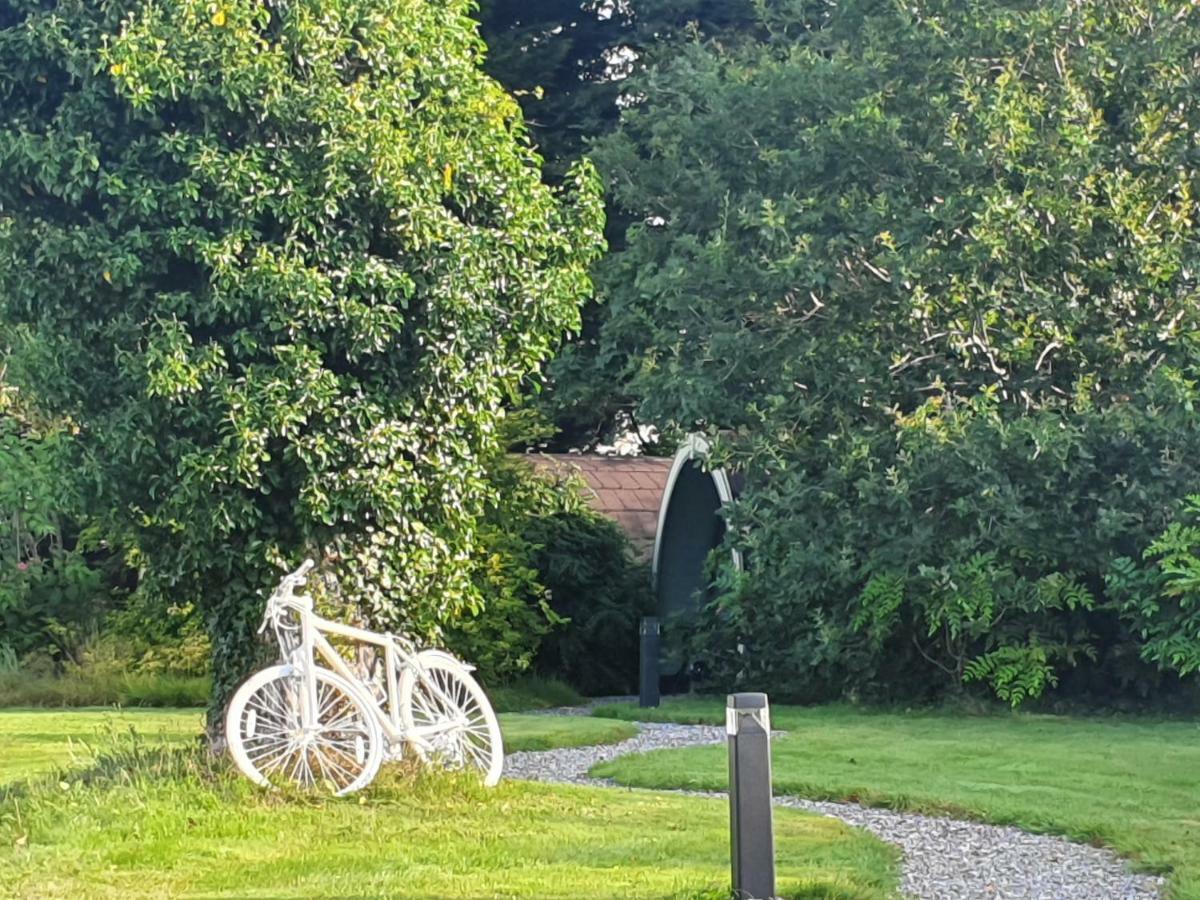 Priory Glamping Pods And Guest Accommodation Killarney Zewnętrze zdjęcie