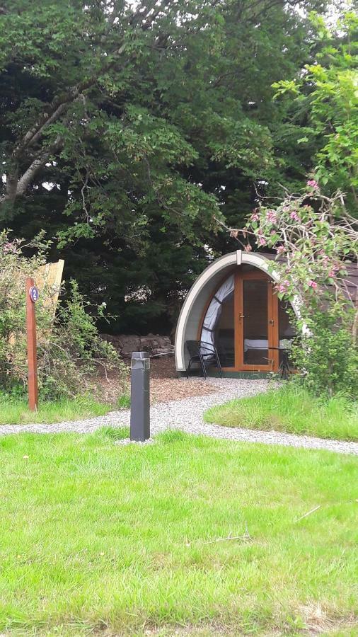 Priory Glamping Pods And Guest Accommodation Killarney Zewnętrze zdjęcie