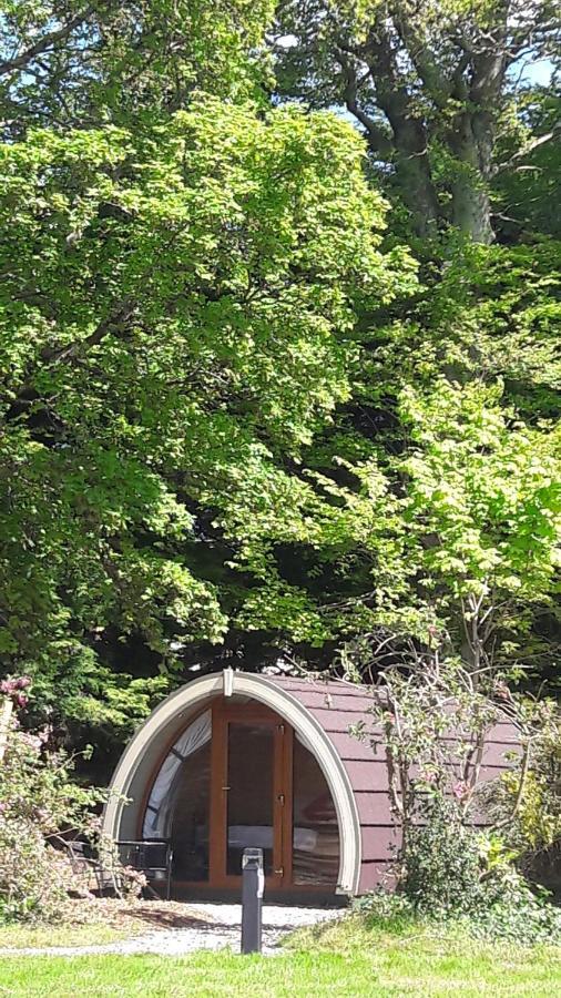 Priory Glamping Pods And Guest Accommodation Killarney Zewnętrze zdjęcie