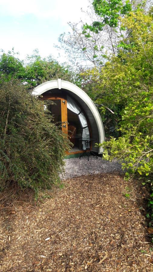 Priory Glamping Pods And Guest Accommodation Killarney Zewnętrze zdjęcie