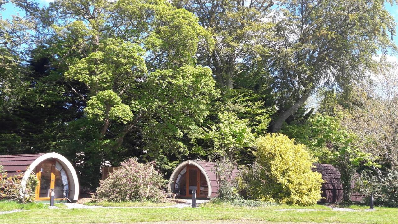 Priory Glamping Pods And Guest Accommodation Killarney Zewnętrze zdjęcie